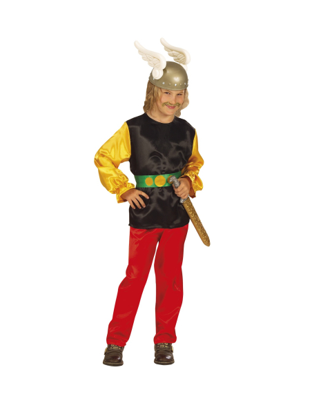 Déguisement gaulois enfant (casaque, pantalon, ceinture)