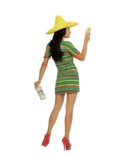 Déguisement Mexicaine Femme vert (robe)