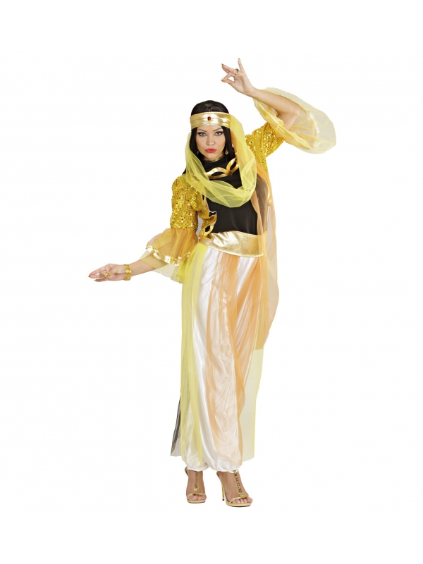 Déguisement danseuse de Harem(chemise, veste en paillettes, pantalon avec voiles, ceinture, couvre-chef avec voile)
