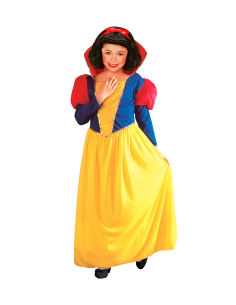 Déguisement Princesse des contes de fée enfant (robe avec collar)