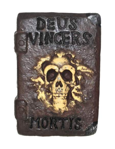 Livre Halloween 30cm
