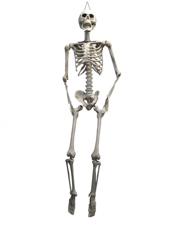 Squelette pendu Halloween 200cm
