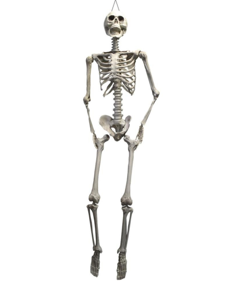 Squelette pendu Halloween 200cm