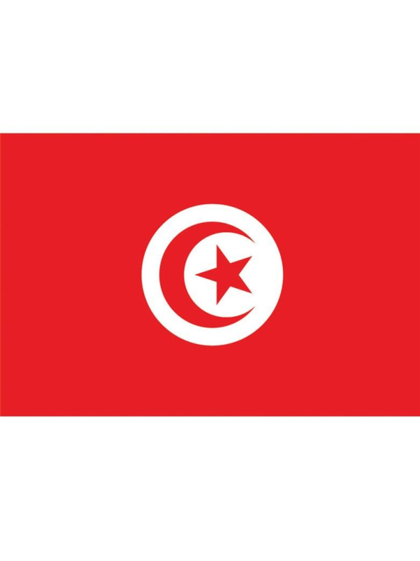 Drapeau Tunisie 90x150cm