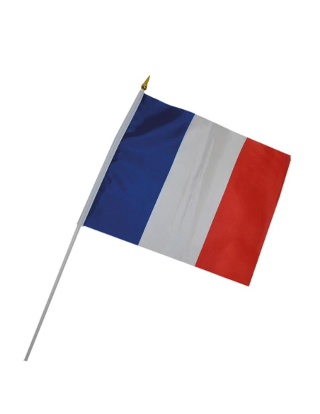Drapeau France (30x45cm sur bâton)