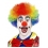 Perruque clown fou multicolore