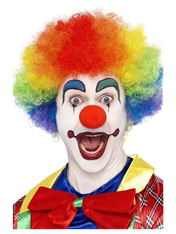 Perruque clown fou multicolore