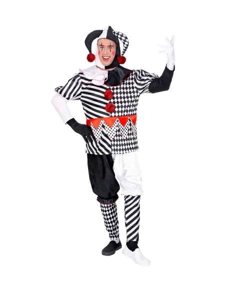 Déguisement Arlequin (manteau, pantalon, chapeau, gants)