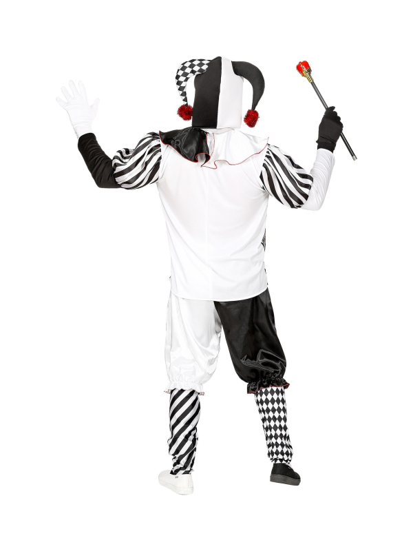 Déguisement Arlequin (manteau, pantalon, chapeau, gants)