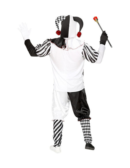Déguisement Arlequin (manteau, pantalon, chapeau, gants)
