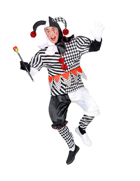 Déguisement Arlequin (manteau, pantalon, chapeau, gants)