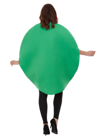 Déguisement fruits et légumes (la pastèque)