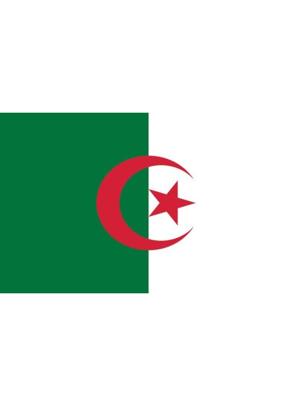 Drapeau Algérie 90x150cm