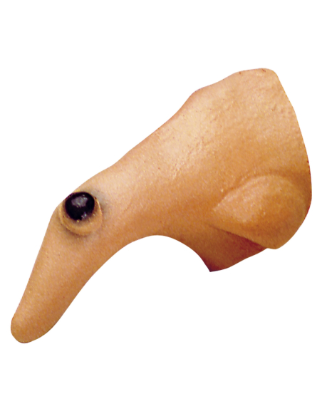 Nez de sorcière