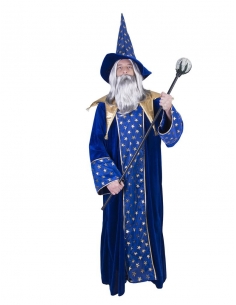 Déguisement Merlin le magicien pour homme, bleu et doré