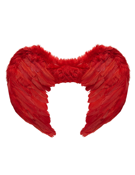 Ailes en plumes, rouge ou noir - 37x50 cm