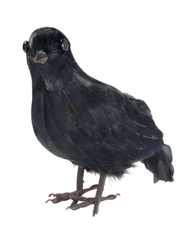 Corbeau noir avec plumes 30cm