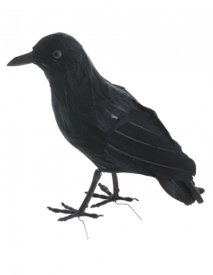 Corbeau noir 23 cm avec des plumes