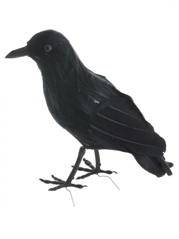 Corbeau noir 23 cm avec des plumes