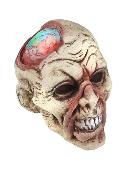 Tête de Zombie 22 cm avec cervelle lumineuse