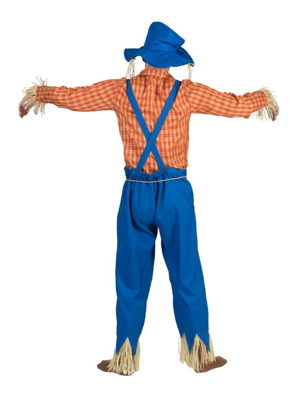 Déguisement Épouvantail homme avec chapeau