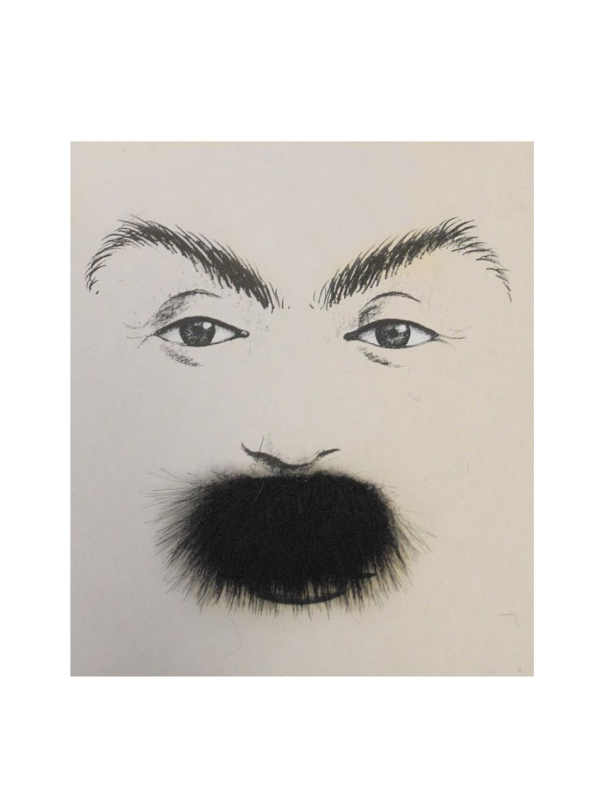 Moustache épaisse noire