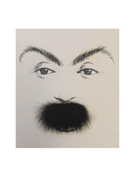 Moustache épaisse noire