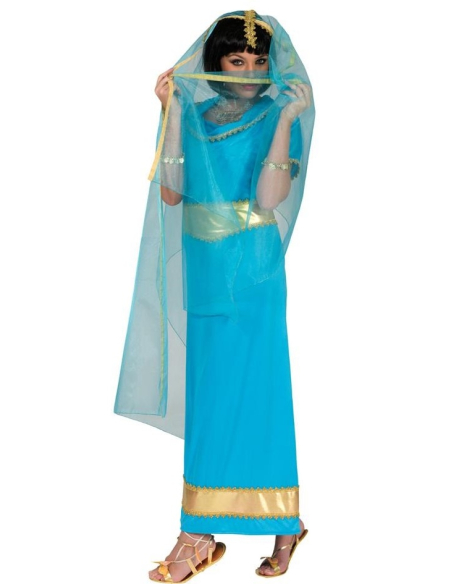 Déguisement Bollywood femme avec grand voile