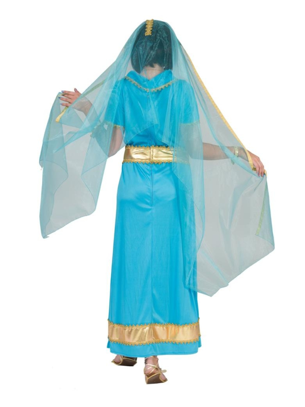 Déguisement Bollywood femme avec grand voile