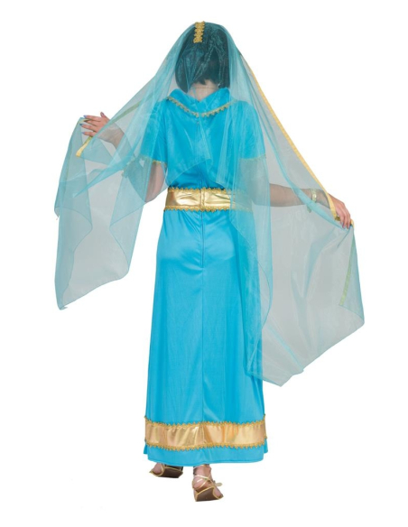 Déguisement Bollywood femme avec grand voile