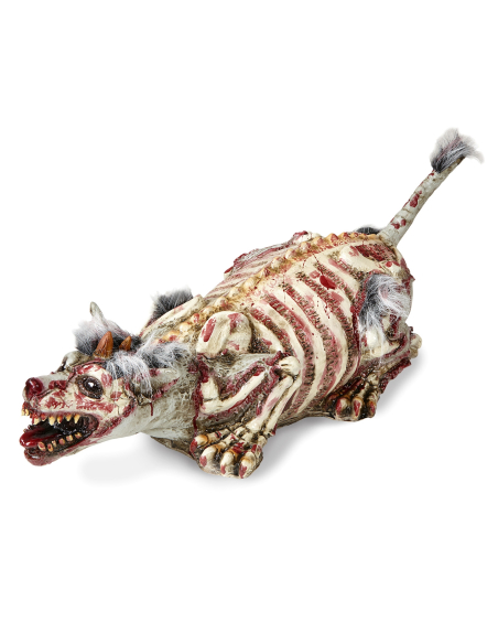 Attention au Chien Zombie : Une Terreur d'Halloween à Découvrir !