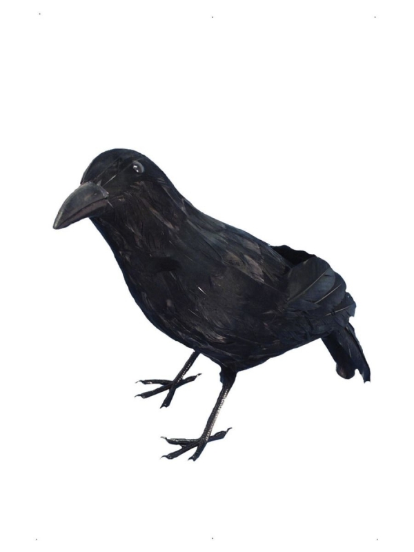 Corbeau 33 cm en plumes noires