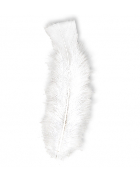 50 plumes env 10 cm - Blanc