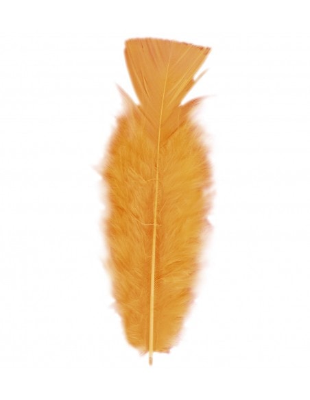 50 plumes env 10 cm - Orange
