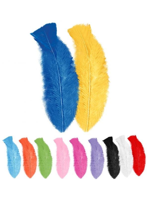 50 plumes env 10 cm - 12 couleurs au choix