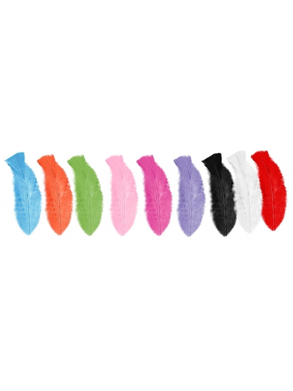 Lot de 50 plumes envi 10 cm plusieurs couleurs