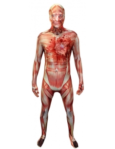 Combinaison muscle anatomie : le costume qui fait frissonner