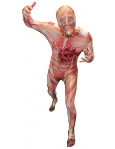Combinaison muscle anatomie : le costume qui fait frissonner 2