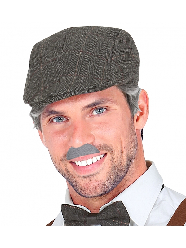 Moustache grise auto adhésives Modèles assortis
