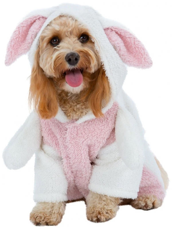 Déguisement de lapin craquant pour chien