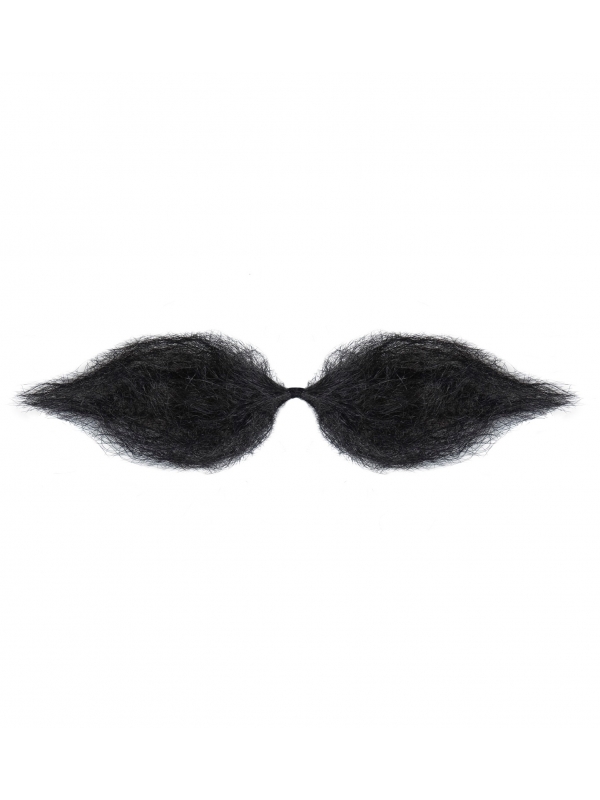 Moustache Schnauzer Noire - Ajoutez une touche de charme à votre visage