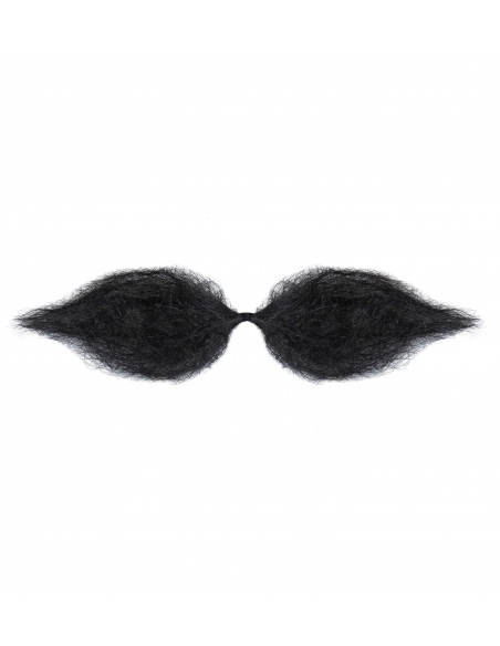 Moustache Schnauzer Noire - Ajoutez une touche de charme à votre visage