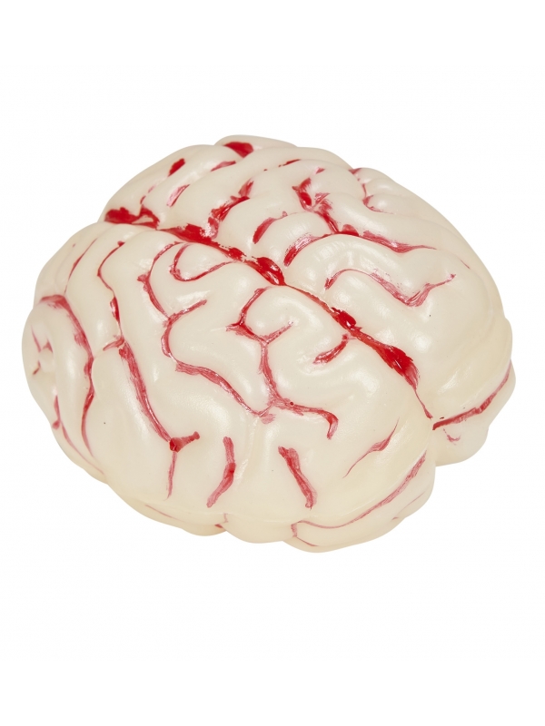 Cerveau lumineux changeant de couleur. Accessoire Halloween