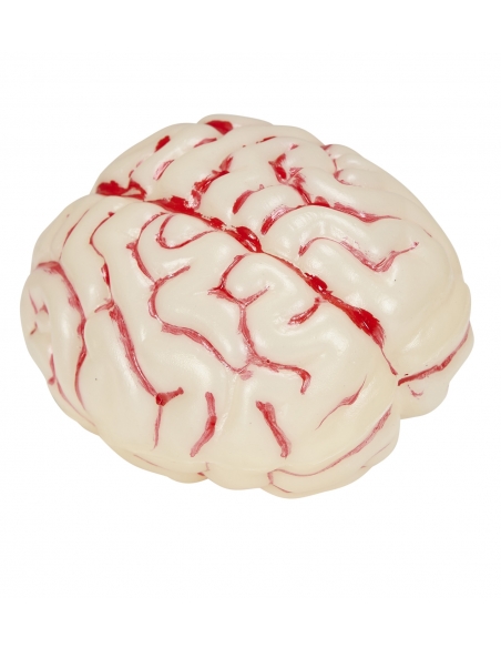 Cerveau lumineux changeant de couleur. Accessoire Halloween