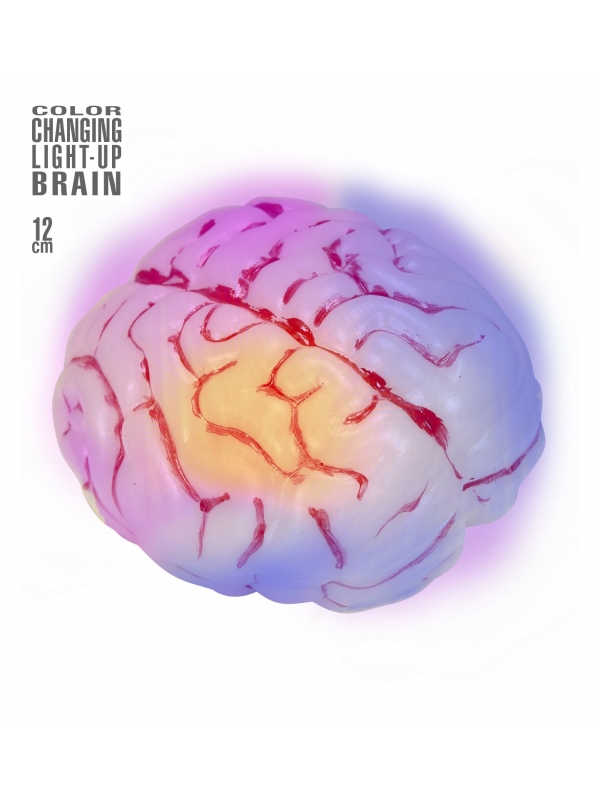 Cerveau lumineux changeant de couleur. Accessoire Halloween
