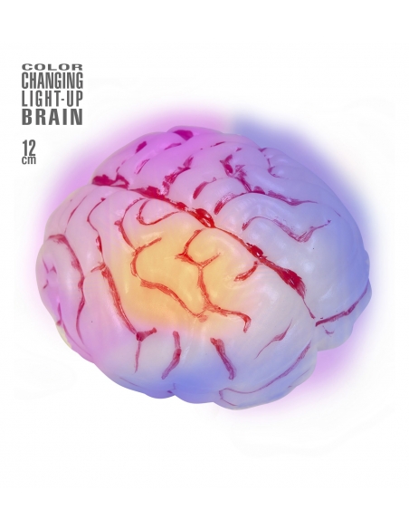 Cerveau lumineux changeant de couleur. Accessoire Halloween
