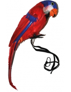 Décoration PERROQUET 35 CM pour une Ambiance Tropicale et Colorée