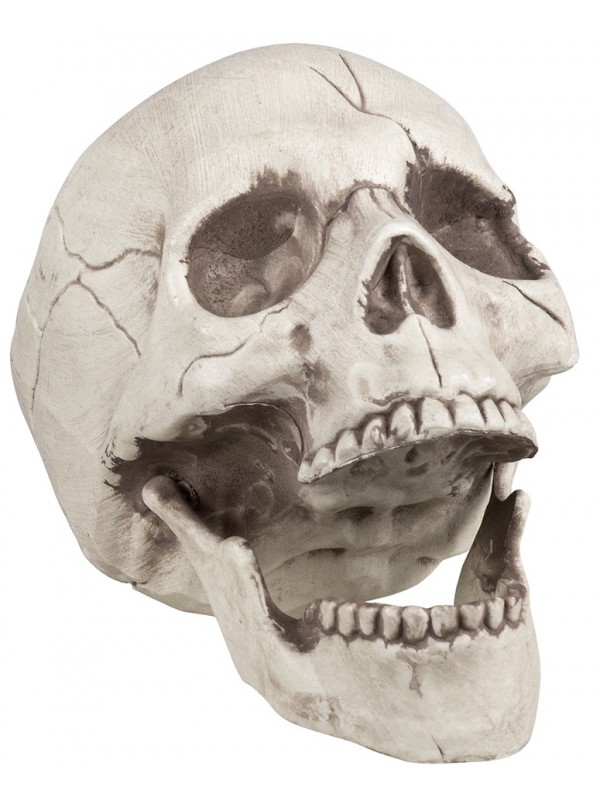 Décoration Halloween : Mettez le Crâne en Avant pour une Ambiance Terrifiante