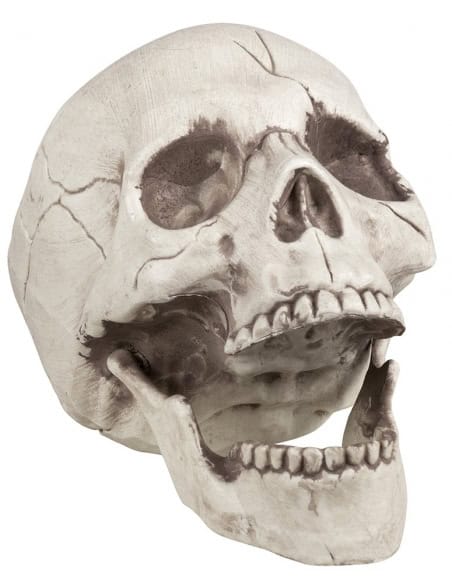 Décoration Halloween : Mettez le Crâne en Avant pour une Ambiance Terrifiante