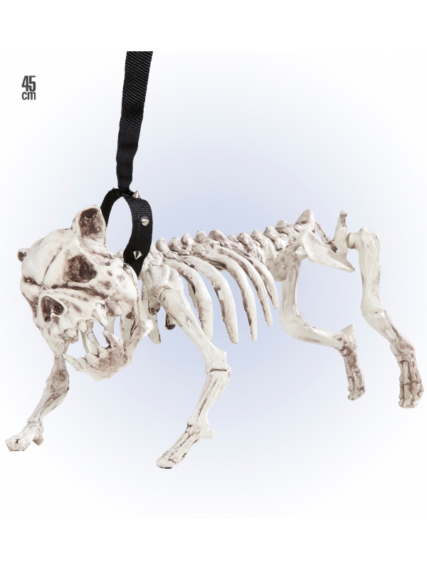 Squelette de Chien Méchant  avec Laisse : déco halloween